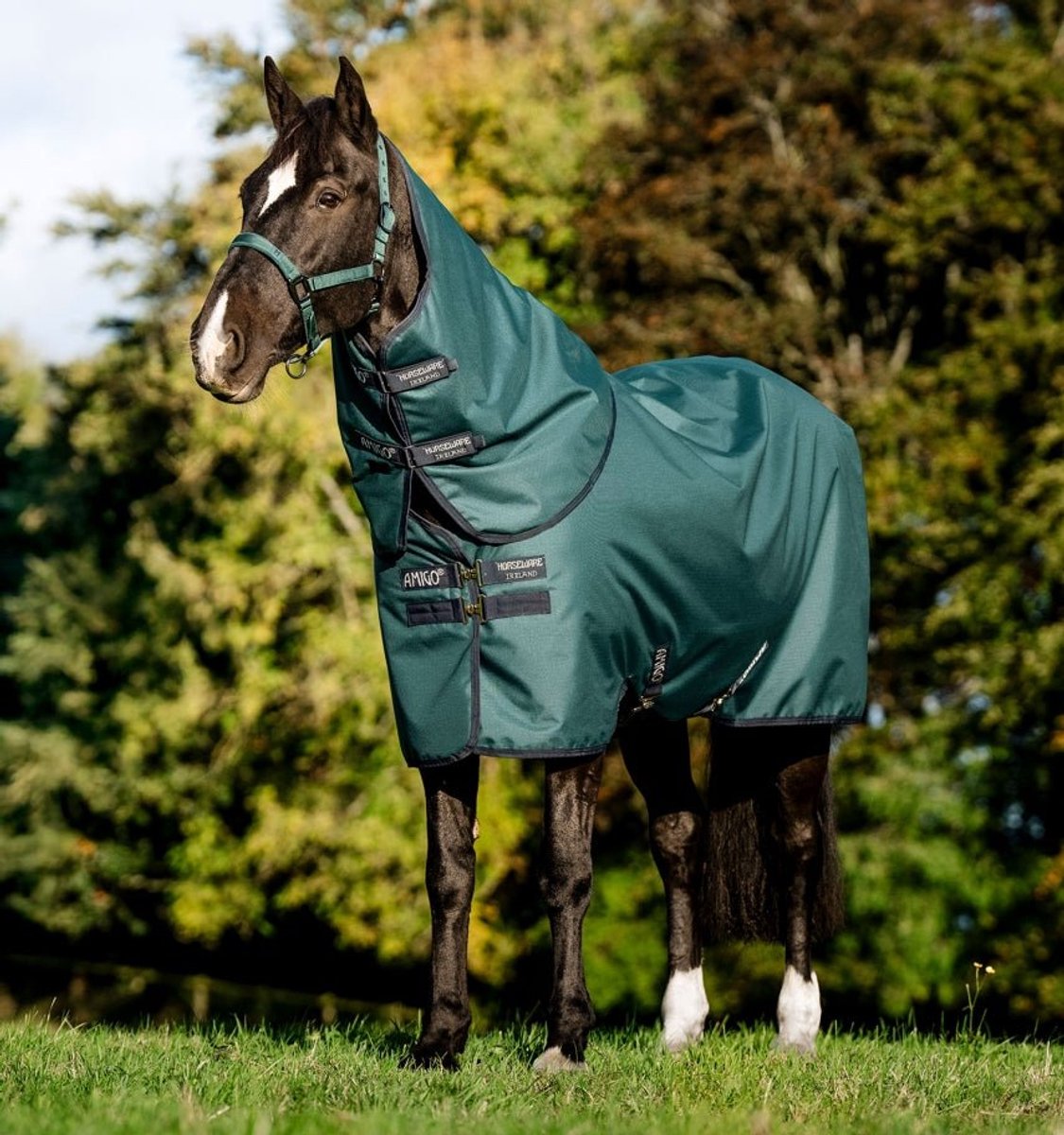 Amigo Ripstop 900D Plus Pony Turnout Deken by Horseware in Dynasty Green – product photo