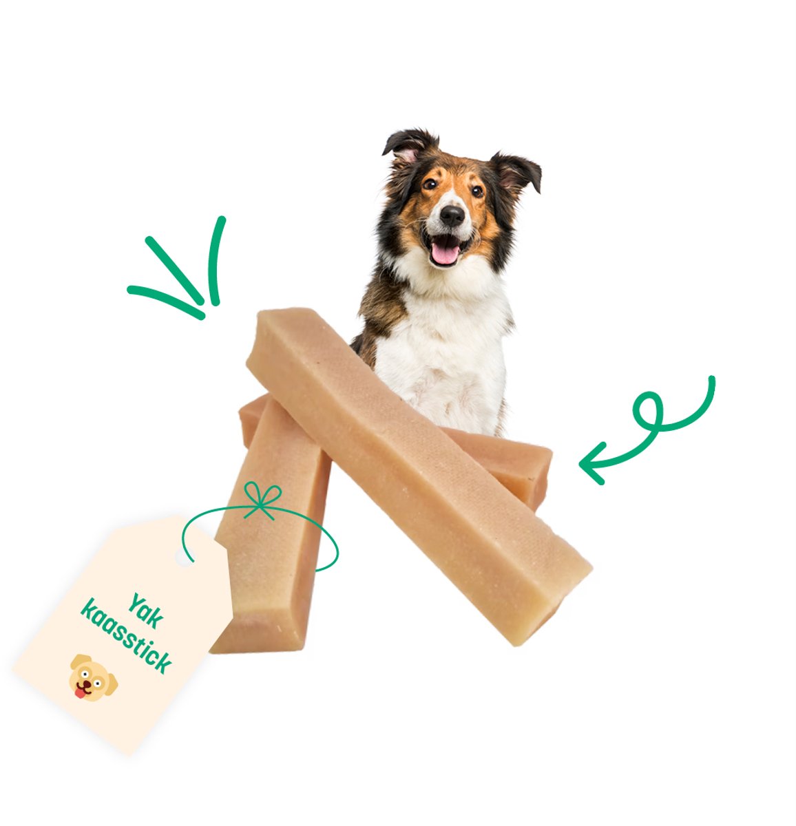 Yak Kaasstick – BROK Natuurlijke Hondensnacks – Gezonde Kauwsnacks Voor Honden – 100% Natuurlijk - Streekproduct uit Nepal - 20cm - 3 stuks