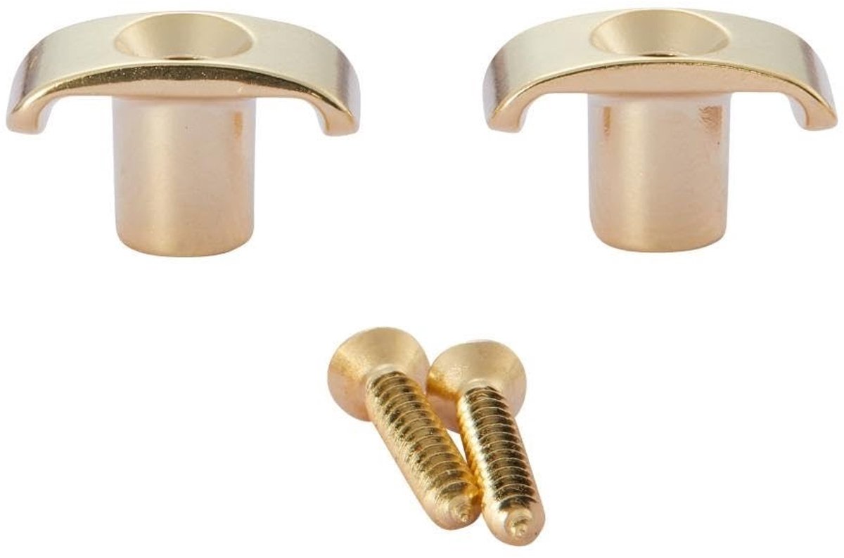 Solidchoice - Set van 2 RVS Gitaar Snaren Gidsen voor Betere Stemming