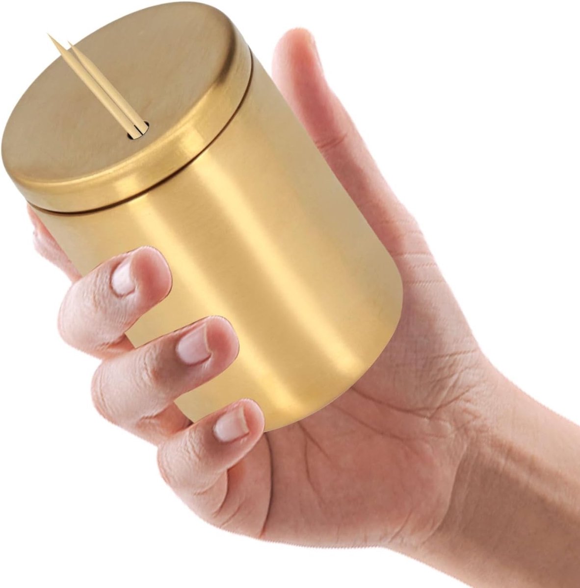 RVS Tandenstoker Dispenser en Houder - Praktische Organizer voor Tandenstokers in Huishoudens, Duurzaam en Stijlvol Design
