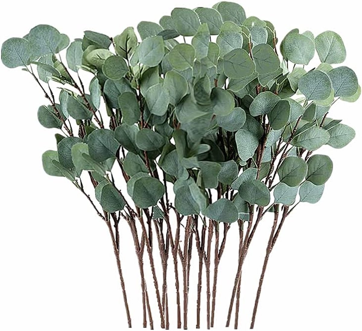Anlising 15 Pcs Artificial Plants Eucalyptus, Artificial Silver Eucalyptus Leaves Branches, Eucalyptus Plant, for - ShopVlot
