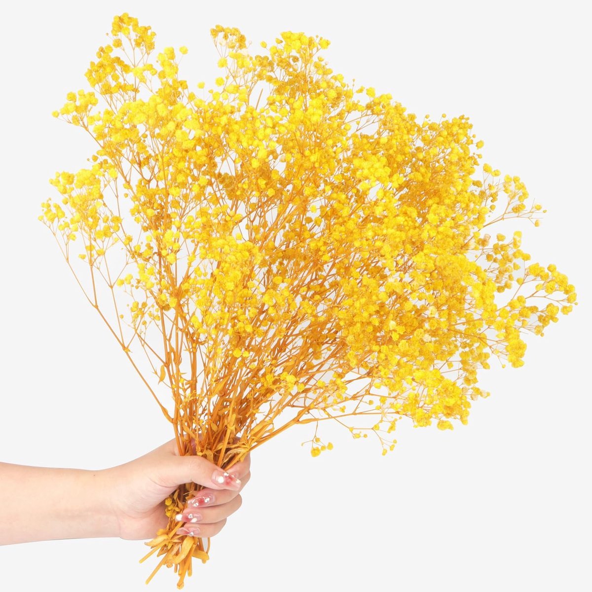 Gypsophila, Dried, 40 cm, 70 g, 2000 + Natural Dried Flowers, Flower Bud, Real Dried Flower Bouquet for Wedding - ShopVlot