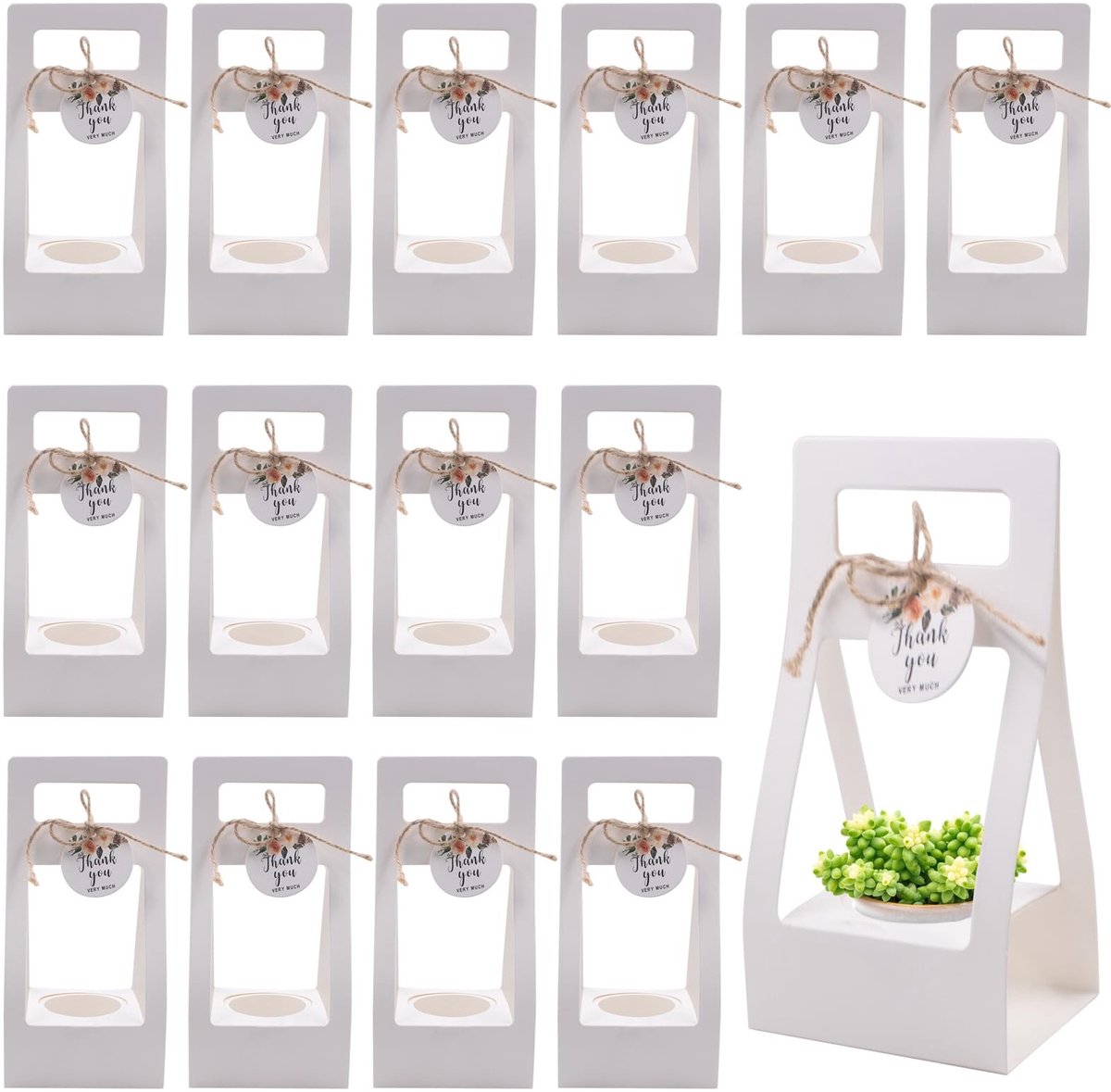 Solidchoice - Set van 25 Cadeautassen voor Succulenten met Etiketten