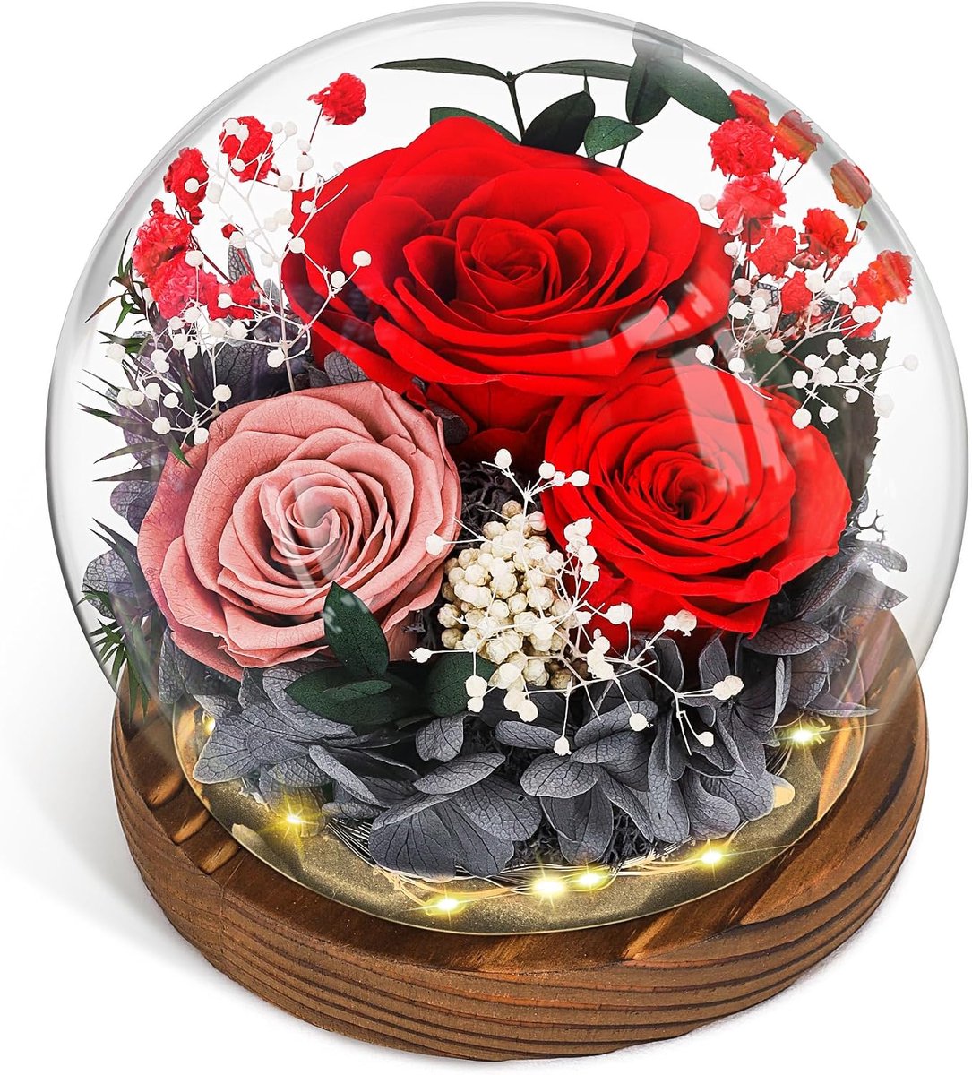 CSYY Eternal Rose Infinity Glass Rose Preserved Infinite Durable Red Flower Light for Women Mom Girlfriend Wife - ShopVlot