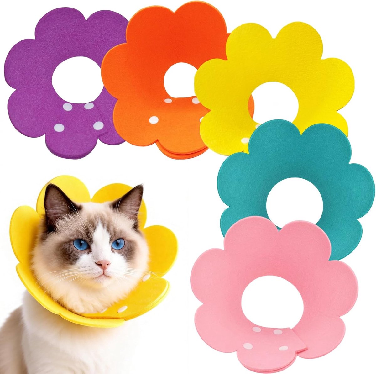 5 stuks halskraag kat, kattenkraag, kattenhalsband, halsband kat voor katten puppy's (oranje, geel, roze, blauw - ShopVlot