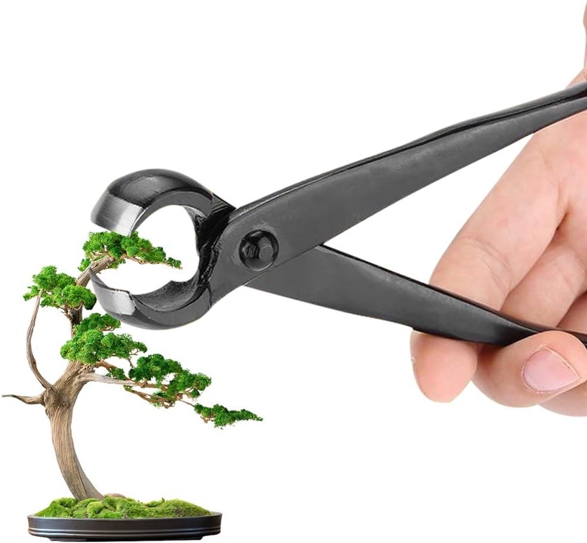 Professionele Bonsai Schaar van Manganese Staal, 210 mm voor het Snoeien van Takken, Wortels en Protrusies