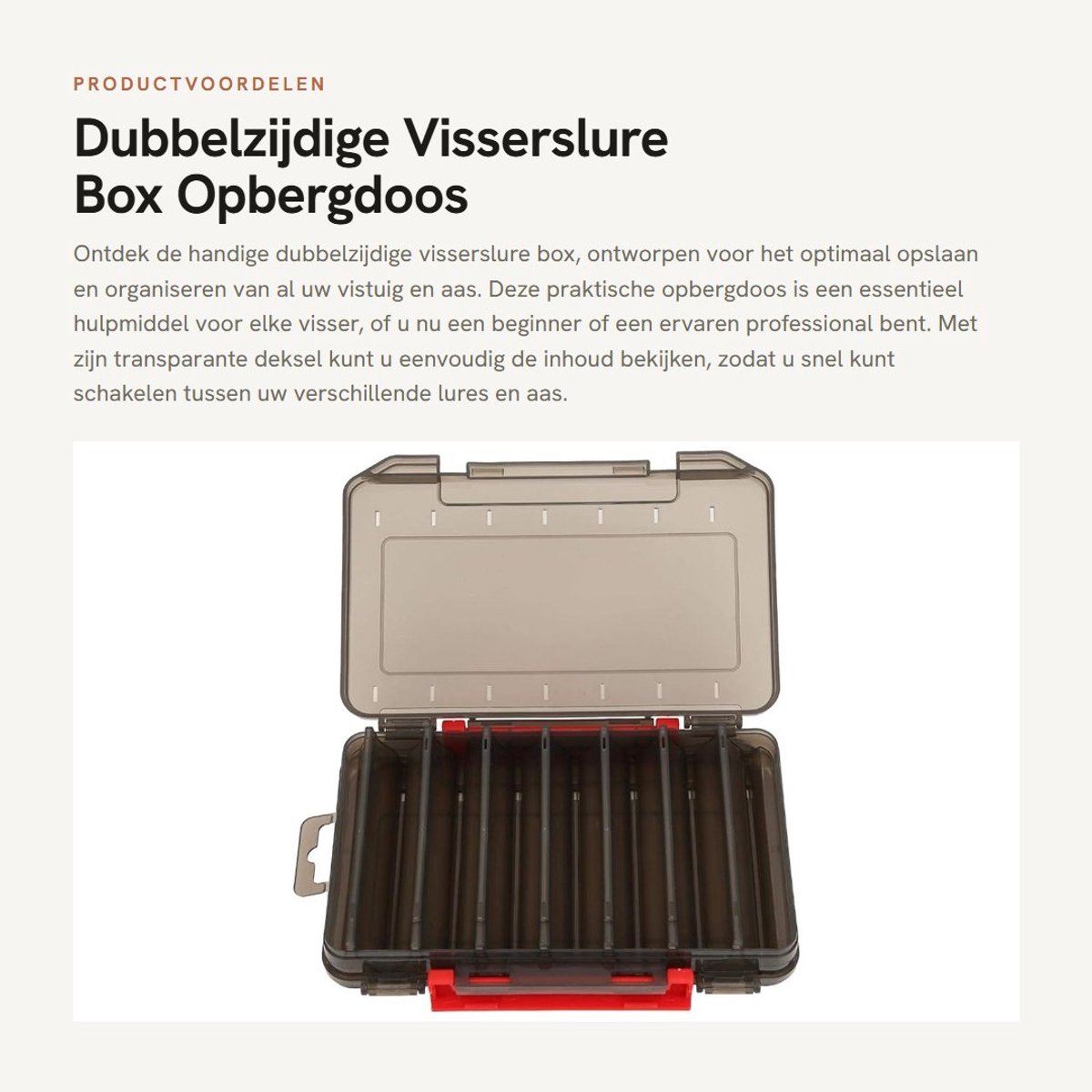 Dailygoods- Visdoos Dubbelzijdig - Plastic Opbergdoos - Organizer voor Vistuig - Transparante Deksel - Meerdere Compartimenten - Makkelijk te Sorteren - Viskoffer