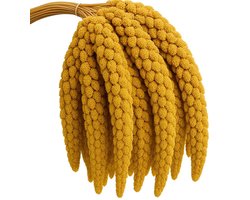 Dailygoods - 1 kg Premium Zuigergierst voor Vogels