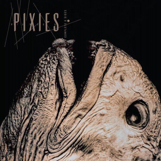 Albumhoes 'Pixies Complete B Sides' met een abstracte, getextureerde afbeelding van een hoofd in bruin en zwart.