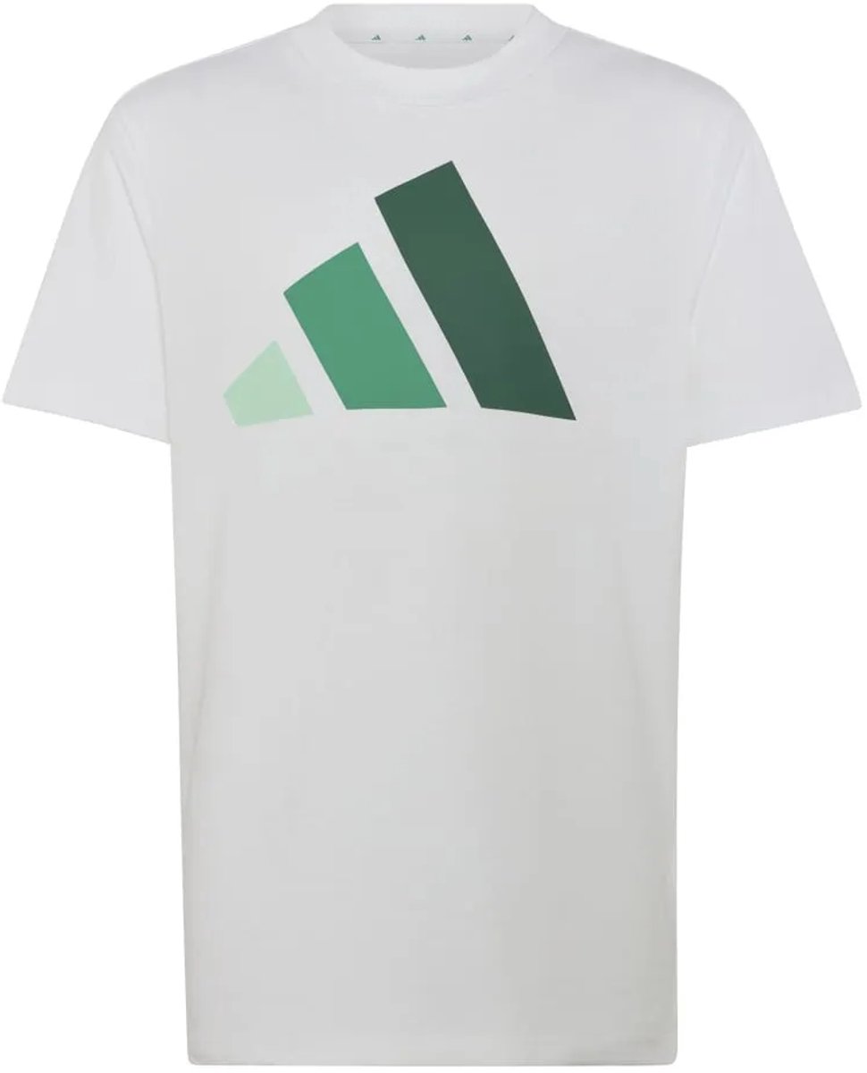 Adidas Essentials T-shirt Met Korte Mouwen 9-10 Years Kinderen Groen
