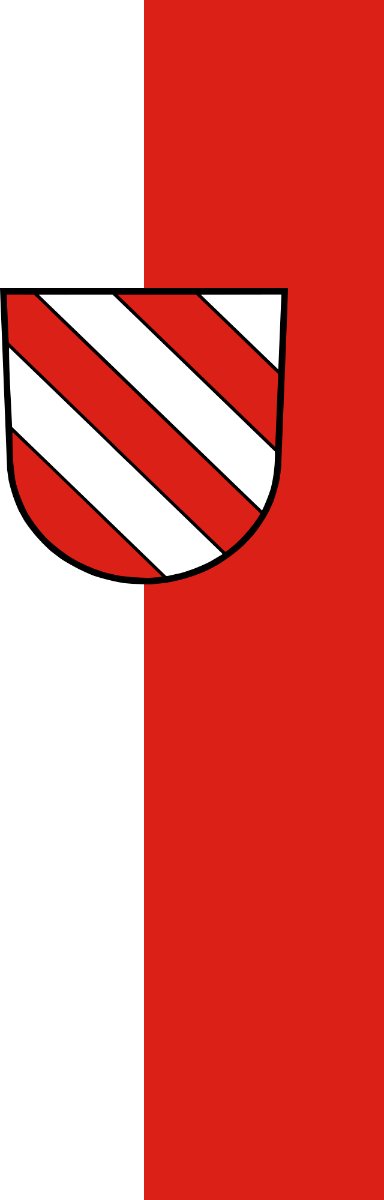Vlag Ehingen 200x300cm