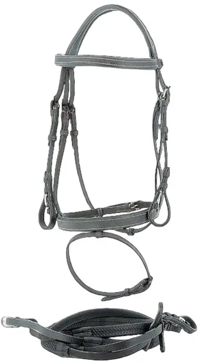 Hoofdstellen Privilège Equitation Grandville