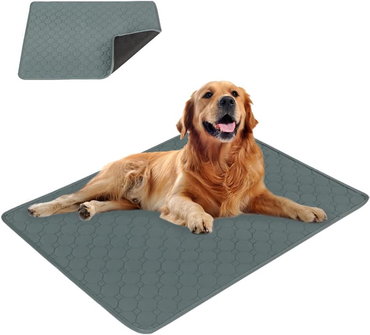 Hondenmat 60x45 cm - Super wasbaar en absorberend - Herbruikbare mat voor honden en katten - Ideaal voor puppy training - Vemera