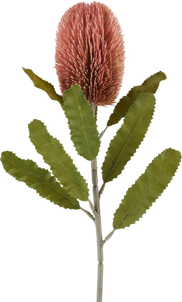 Easyplants | Kunstbloem Banksia 65 cm oud roze | Zijde | Nepbloemen | roze | Onderhoudsvrij | Kant-en-klaar