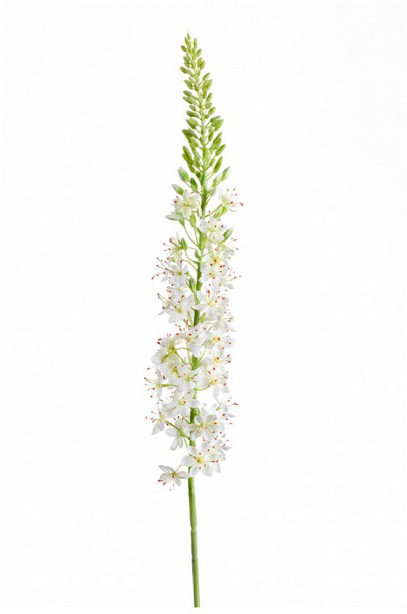 Emerald - Kunstbloem Eremurus 105cm wit - Kunstplant voor binnen