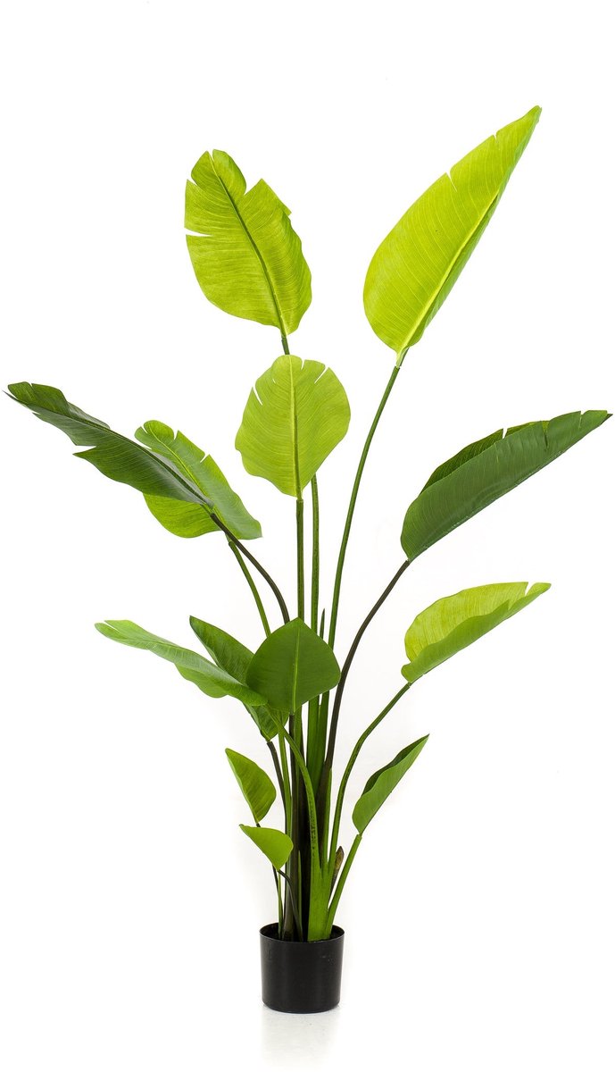 Emerald - Kunstplant Strelitzia Nicolai 150cm - Kunstplant voor binnen