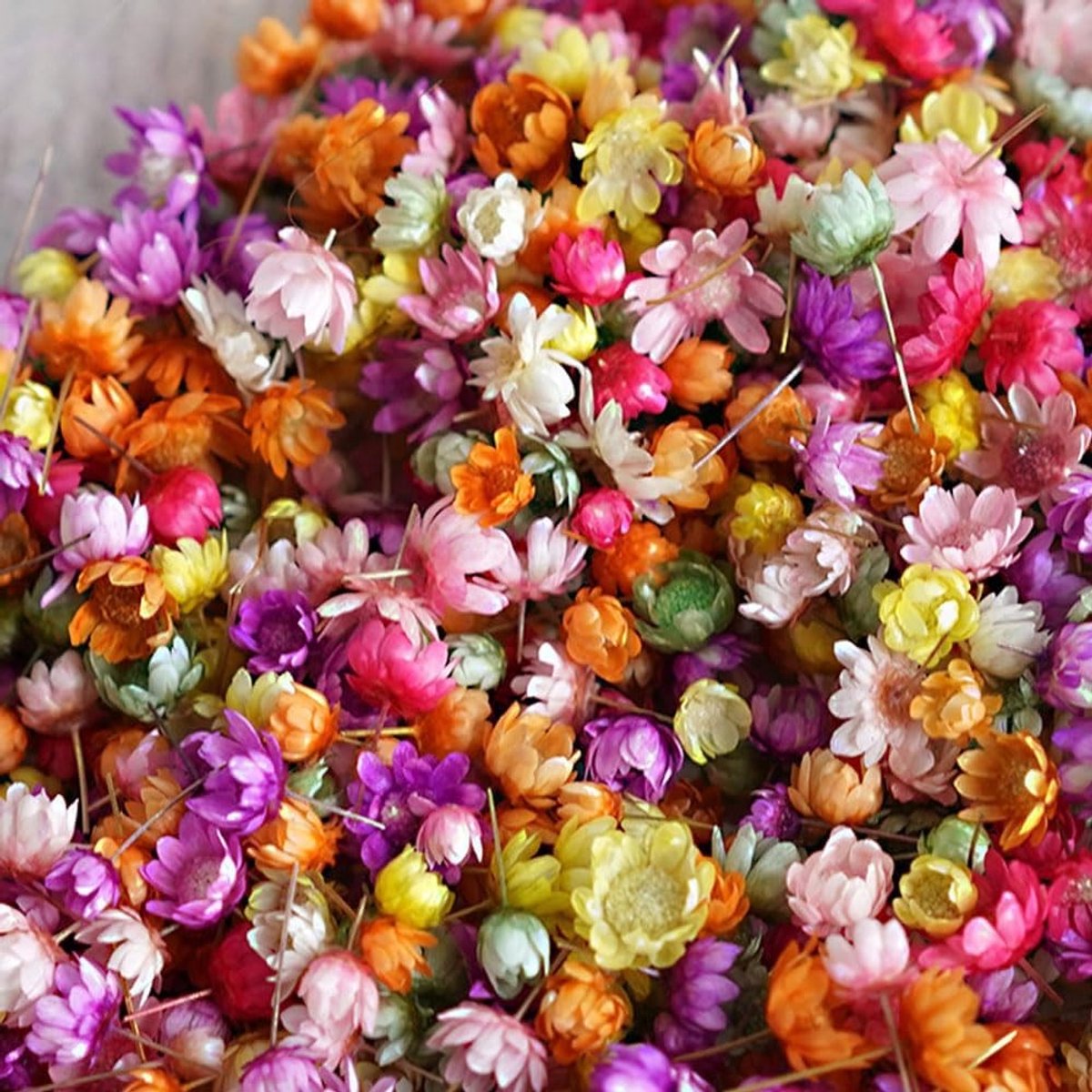 Mini Dried Flowers voor Resin Handwerk - 280 Stuks Natuurlijke Kleurrijke Gedroogde Bloemen voor Creatieve Projecten en Decoratie