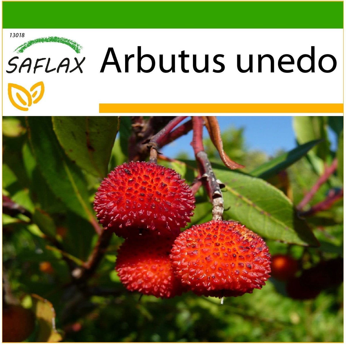 Elzusha - Aardbeiboom Zaden - 50 Stuks met Potgrond voor Groei
