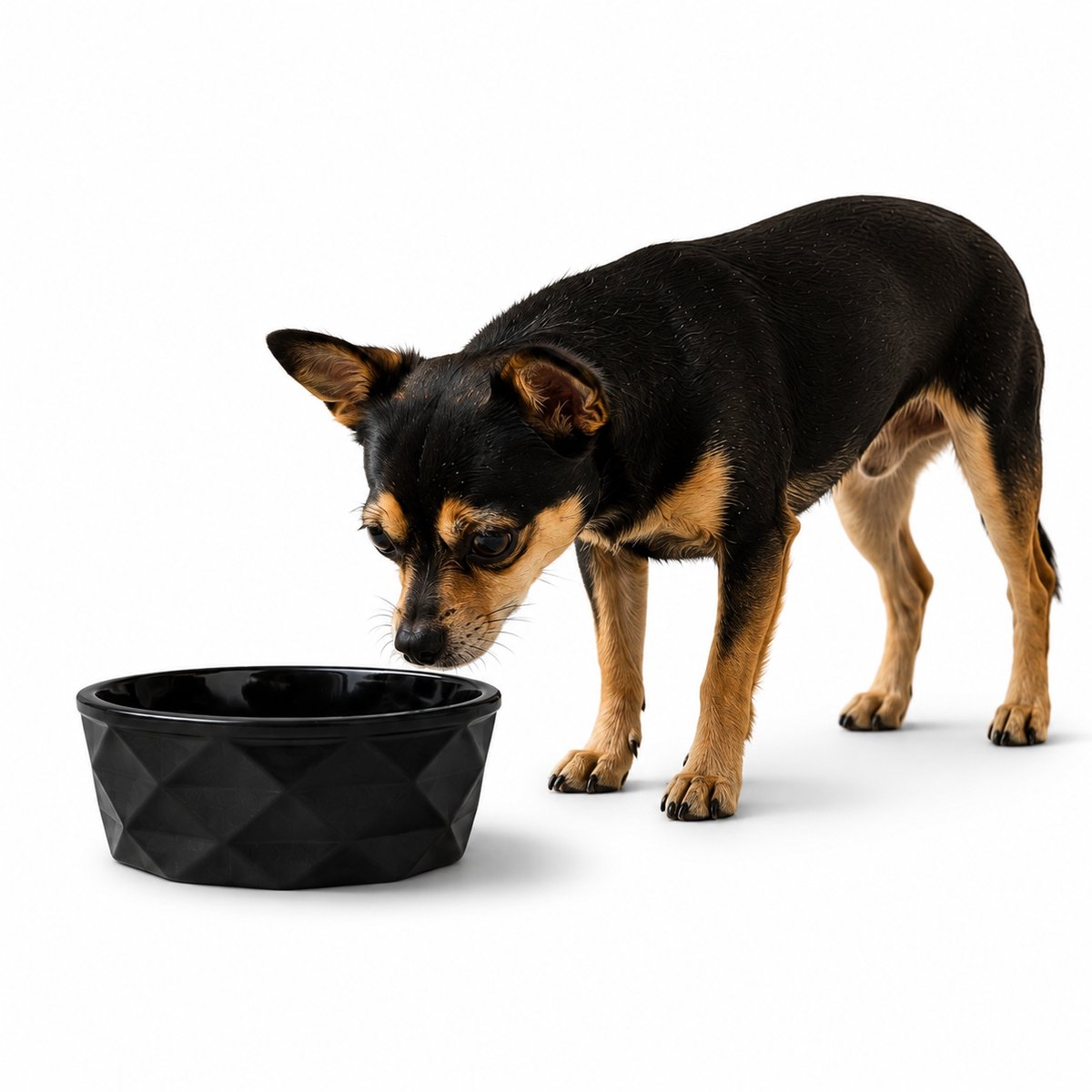 belviona Keramische voerbak hond, antislip & vaatwasserbestendig, 350 ml mat zwart