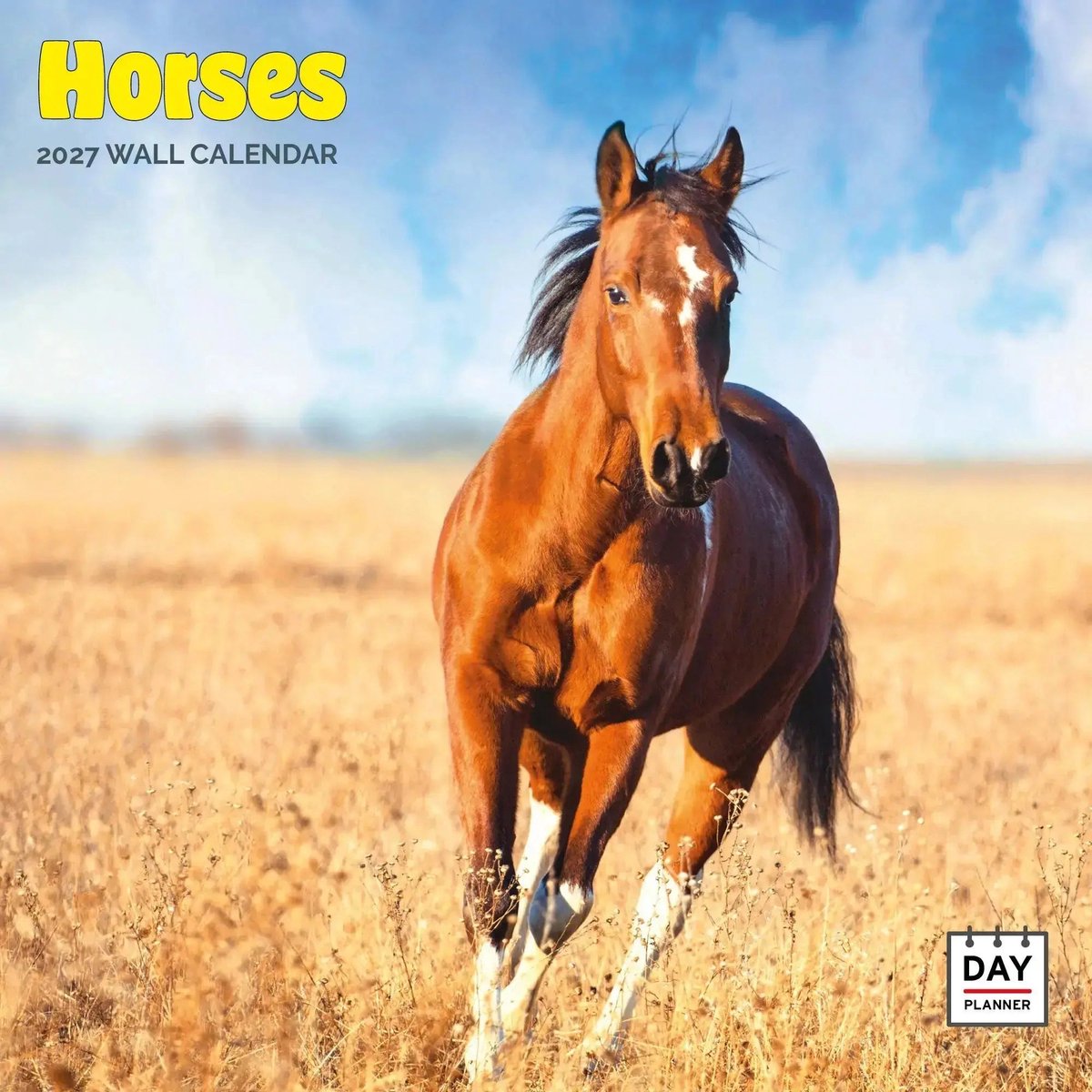 Paarden Kalender 2027