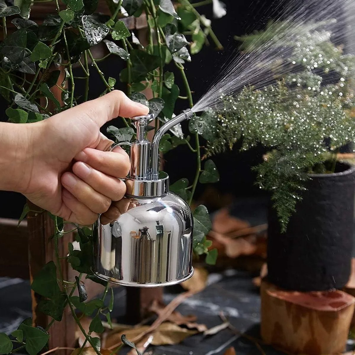 Gieter van roestvrij staal, mini-plantensproeier, 300 ml, Geschikt voor binnen- en buitenplanten.