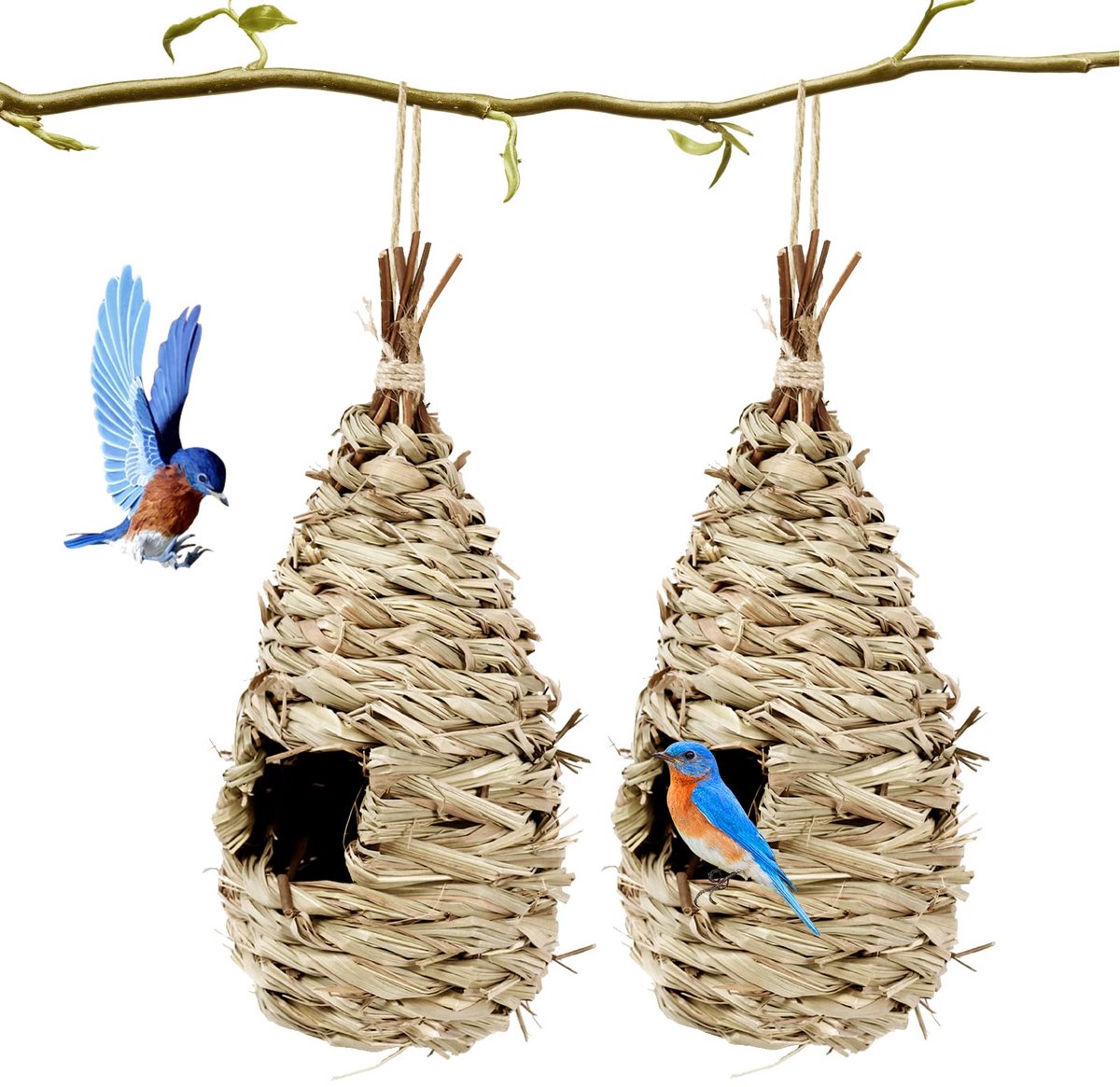 2 stuks vogelnest, kolibriehuis om buiten op te hangen, rustzakjes voor vogels, gras opknoping Wren Finch Song Birds - ShopVlot