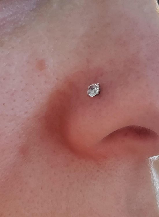 30 stuks rechte neusstekers zilver, 20G neusring stud rechte of L-vormige chirurgische roestvrij staal kleine neus studs pin, kleine neuspiercing sieraden zilveren botschroeven neusstuds voor — afbeelding 3