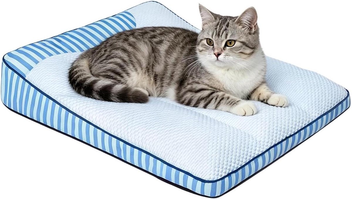 Verkoelend Honden Bed - Hondenmat Koel - Hond Koel Houden - Ademende Mesh Stof - 60x45x12 cm - Blauw