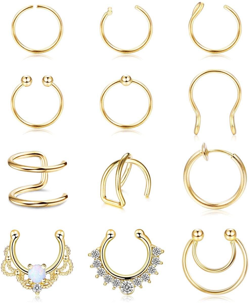 Dailygoods- Nepneusringen Set 12 Stuks - Hoepels - Septumringen - Niet-doorborend - Sieraden - 11 Unieke Stijlen - Neuspiercings
