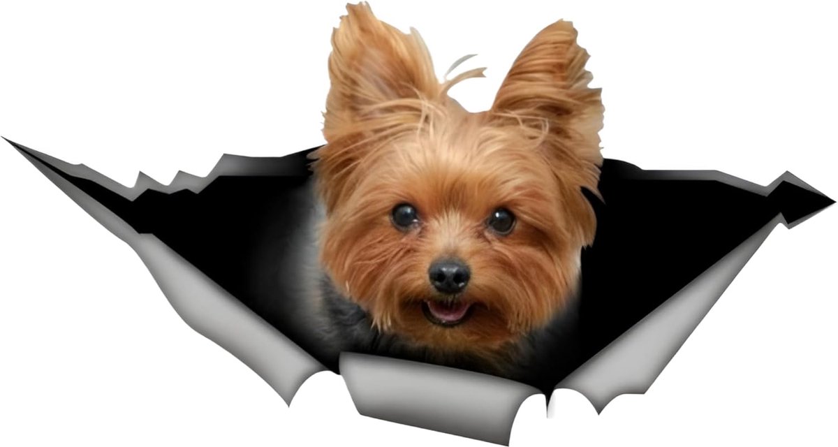 Terrier Autosticker 18 cm (7,1 inch) Yorkshire Terrier Car Sticker 3D