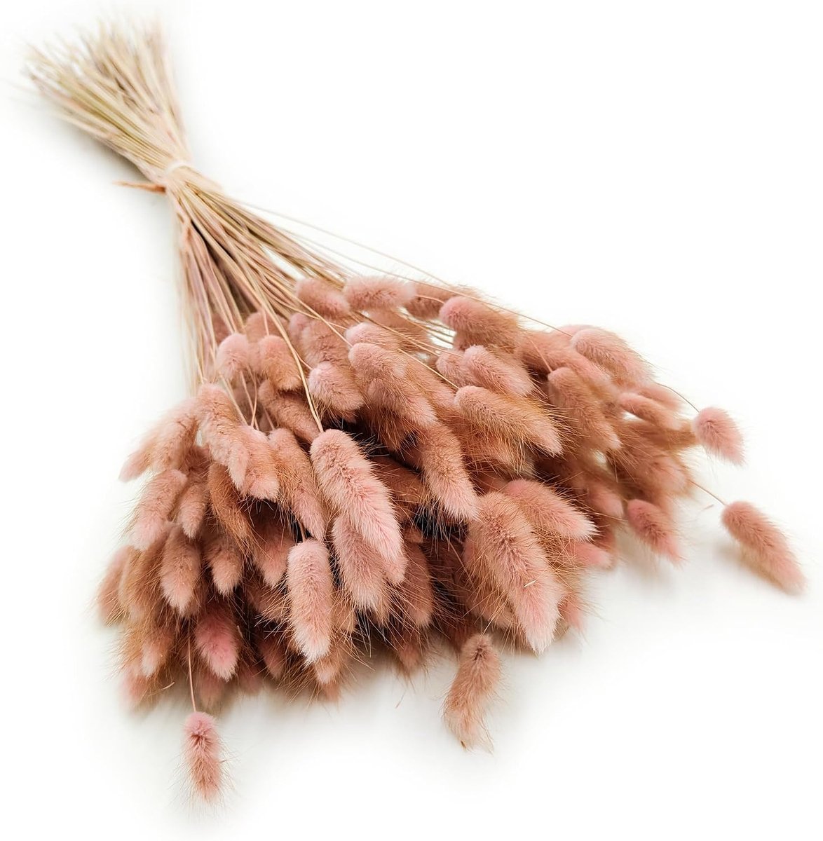 SnelShoppen - Dried Grass Lagurus Ovatus 100g - Fluffy Rabbit Tails - Boho Chic Decoratie - Natuurlijke Droogbloemen - Dusky Pink - Voor Feesten en Tu