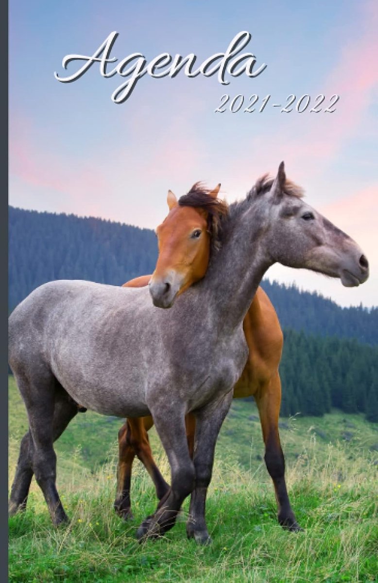 Scolaire 2021-2022: Agenda Cheval 2021-2022 | Planificateur 1 Jour par Page | Pour étudiants, collégiens et Lycéens | de Août 2021 à Juillet 2022 | Équitation