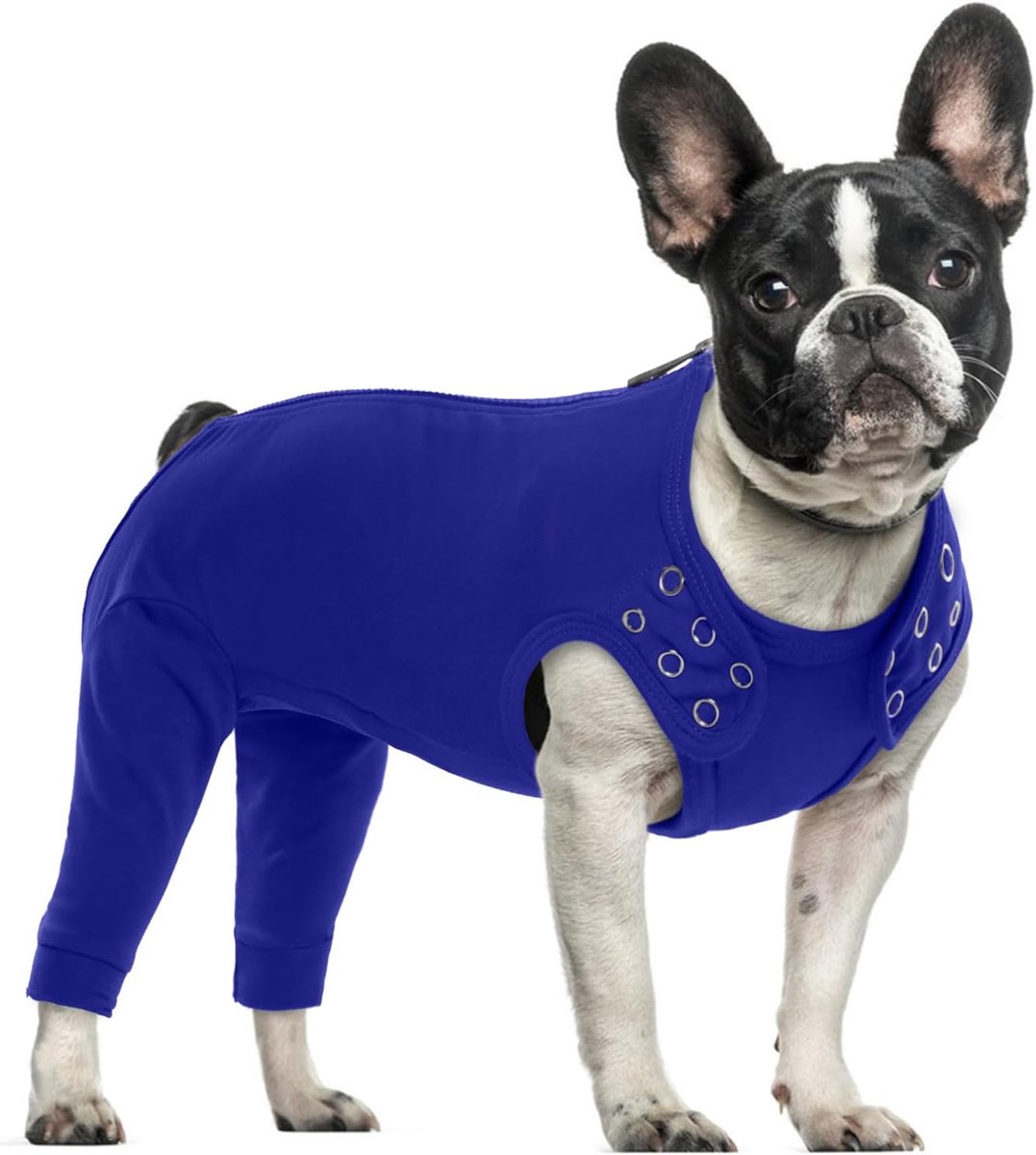 Herstelpak voor honden, herstelpak, achterpoten vrouwelijke hond chirurgisch pak postoperatieve kleding beenmouw om likken te voorkomen (blauw, M)