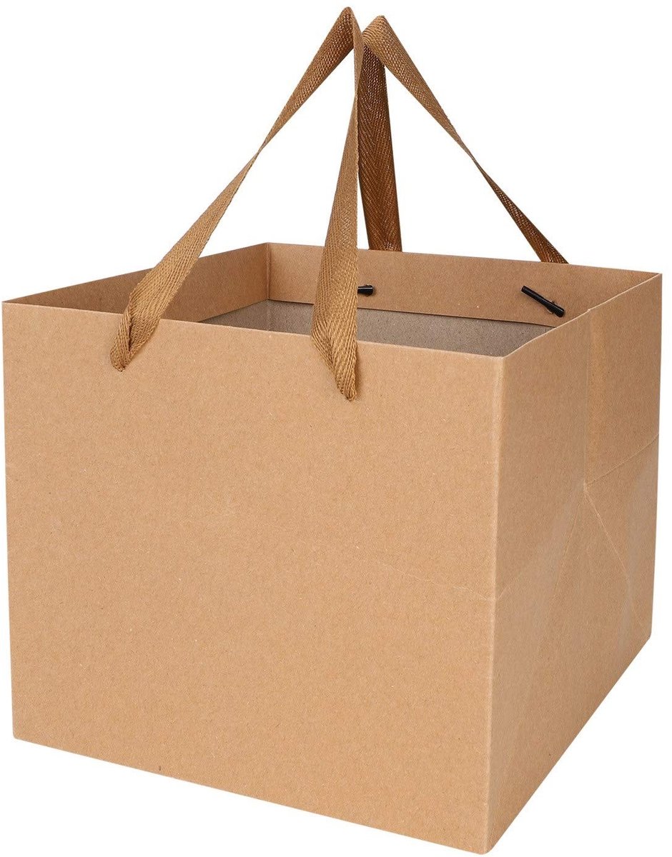 Omgoods - Kraft Papieren Cadeauzakken - 10 Stuks voor Verjaardagen en Meer