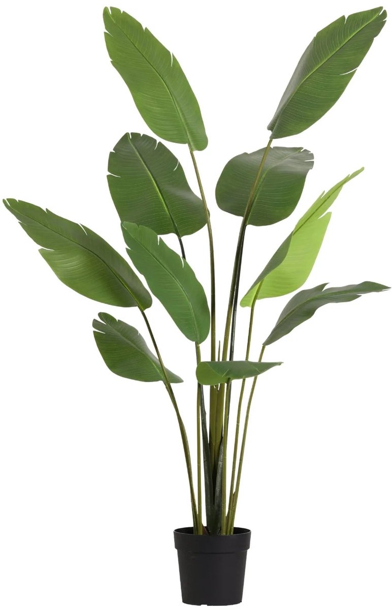 Trendyplants – Kunst Strelitzia Nicolai – Paradijsvogelbloem – Kunstplant – Hoogte 182 cm – Potmaat Ø21cm