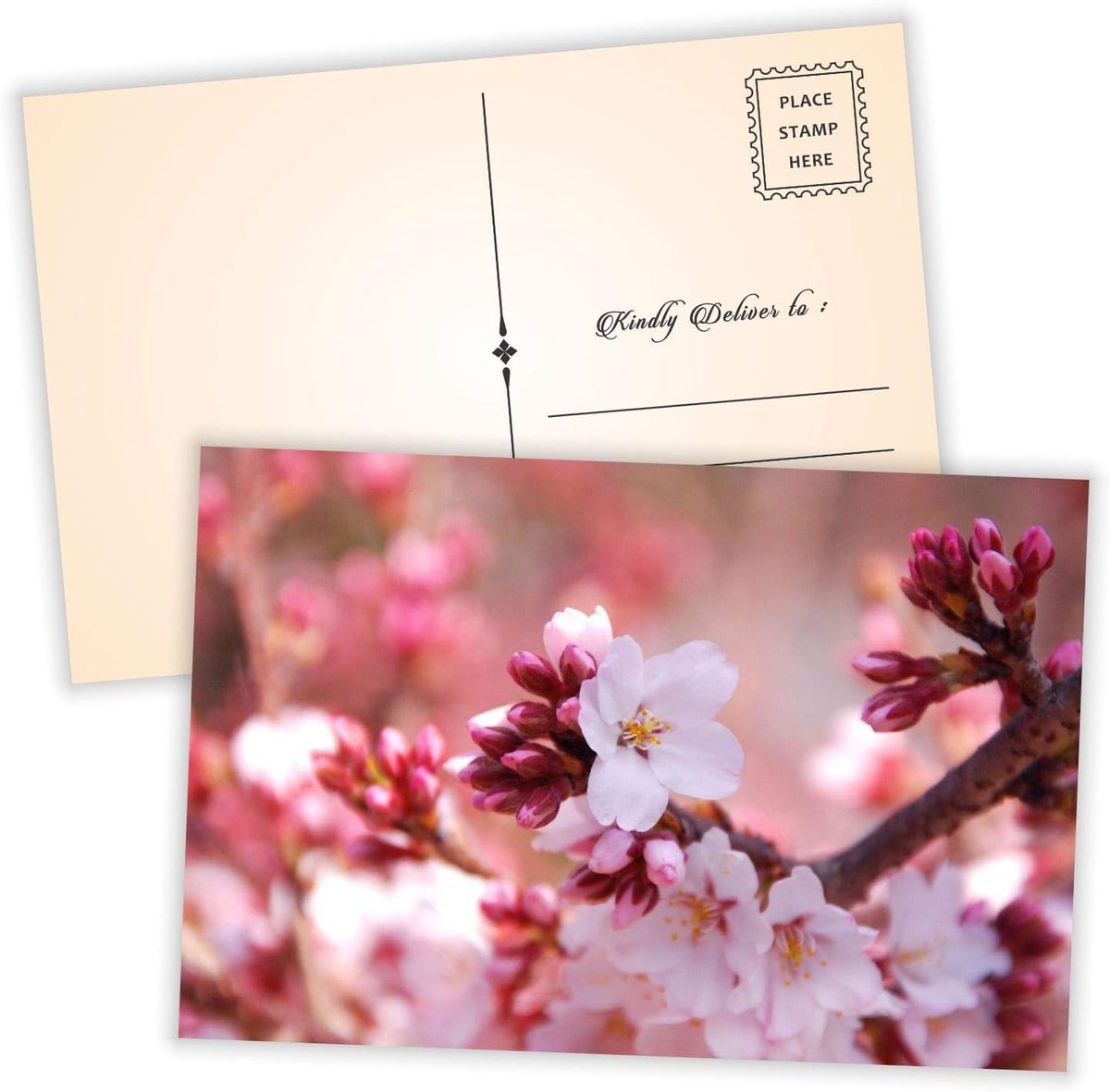 Ansichtkaarten - (Pack van 54) 4 "x6" Bulk Variatie van Herfst Herfst Winter Zomer Lente Thema met Mailing Side - alle Gelegenheidskaarten