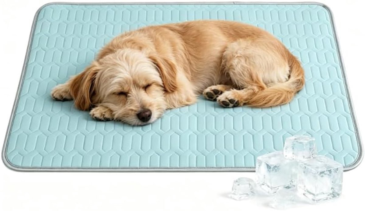 koelbedmat voor honden en katten, blauw, ijszijdestof met latexvulling, antislip, 60 x 45 cm