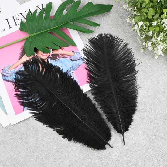 10 stuks struisvogelveren, 25-30 cm, natuurlijke struisvogelveren, kunsthandwerk van struisvogelveren, voor bruiloften, kunsthandwerk, kostuums, kerstdecoratie, themafeesten (zwart) — afbeelding 3