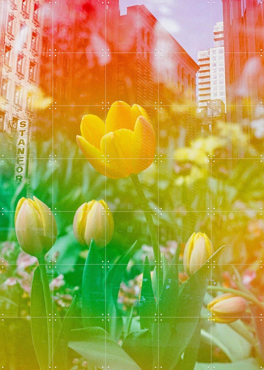 IXXI Center of the Universe, Amber Lauder - 100 x 140 cm - Gratis ophangtool - Grote wanddecoratie en posters - Kleurrijk, Gemengde Technieken, Gang