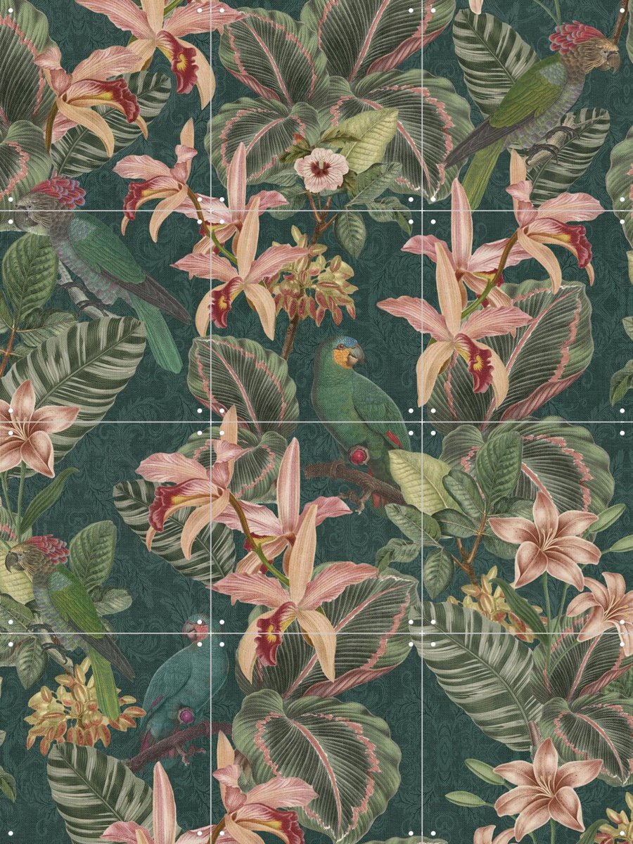 IXXI Jungle Parrots Midnight Garden, Bloomery Decor - 60 x 80 cm - Gratis ophangtool - Grote wanddecoratie en posters - Ornamenteel Ontwerp