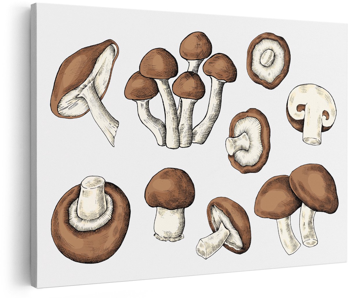 Artaza Canvas Schilderij Paddenstoelen - 180x120 cm - Groot - Wanddecoratie Keuken - Muurdecoratie Natuur - Decoratie Vintage Handgetekend
