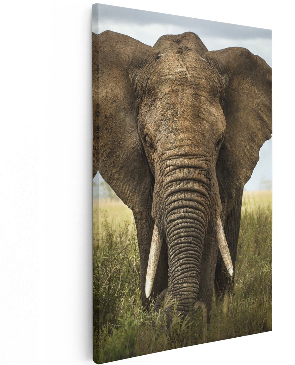 Artaza Canvas Schilderij Olifant In Het Wild - Kleur - 120x180 cm - Groot - Wanddecoratie Woonkamer - Schilderijen - Muurdecoratie