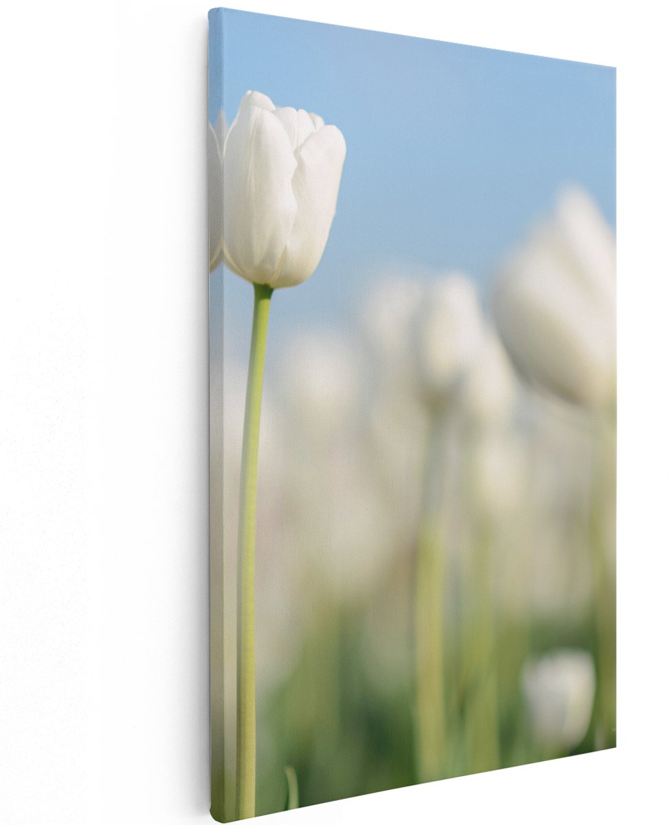 Artaza Canvas Schilderij Witte Tulpen - Bloemen - 120x180 cm - Groot - Wanddecoratie Woonkamer - Schilderijen - Muurdecoratie