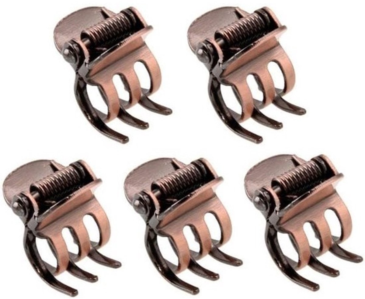 Set van 5 Metalen Mini Haarspeldjes Klemmetjes voor Dames - Zijdelingse Pony & Fijne Haarstyling