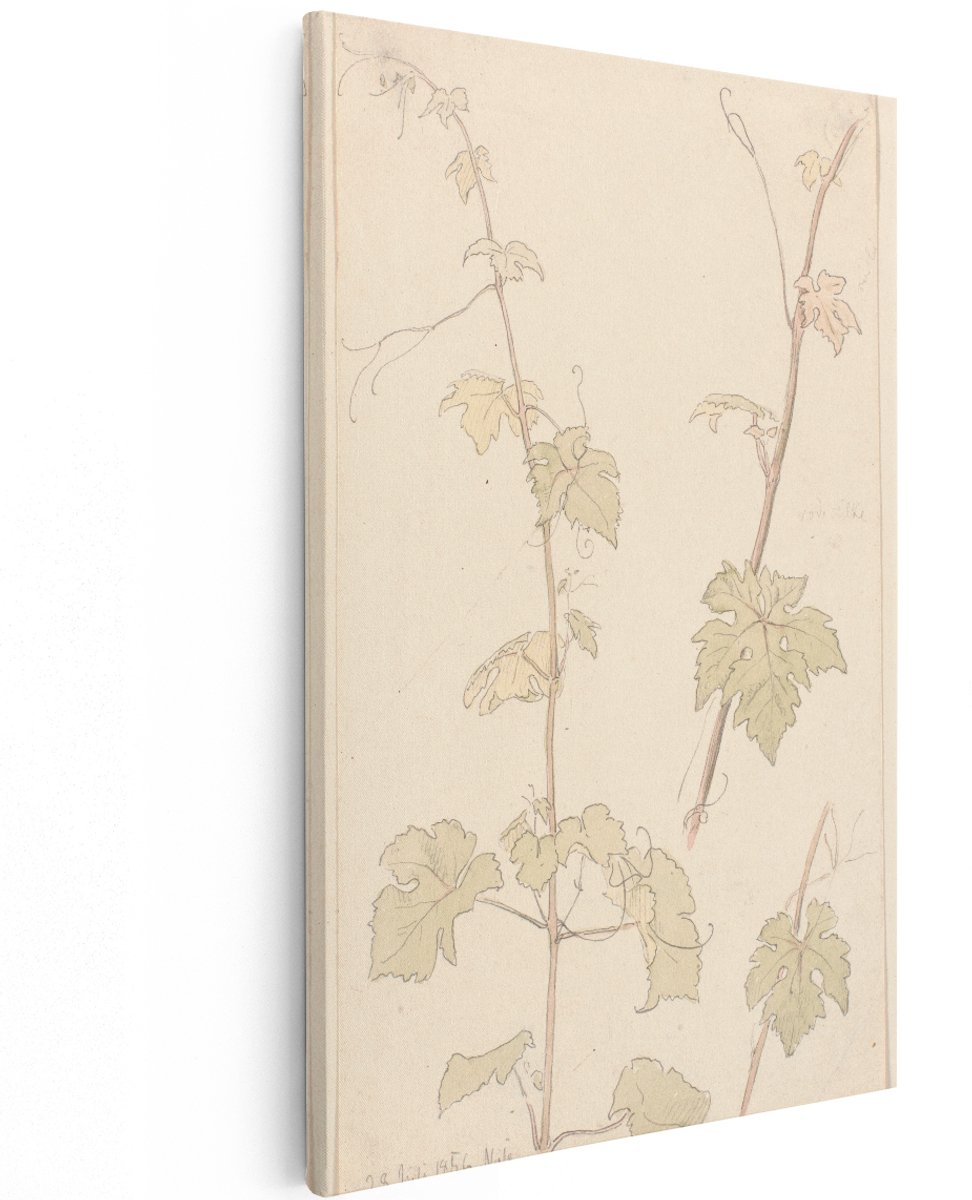 Artaza Canvas Schilderij Wijnrank - 120x180 cm - Groot - Wanddecoratie Botanisch - Muurdecoratie Vintage - Decoratie Bladeren Pastel