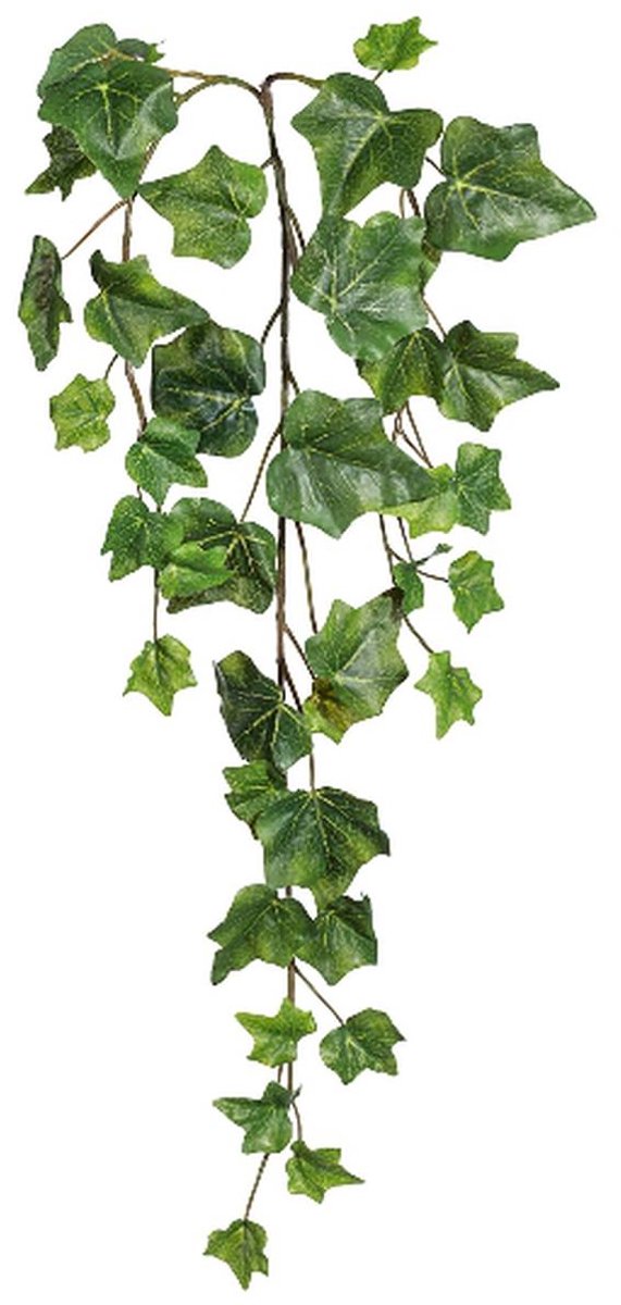 Gasper Engelse Klimop Groen als Slinger 39 Bladeren 63 cm