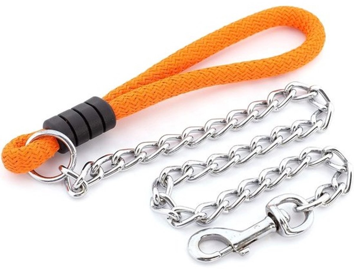 Sterke Hondenriem met Karabijnhaak en Nylon Handvat - Roestvrij Staal, Duurzaam voor Elke Hond (Oranje, 100 cm)