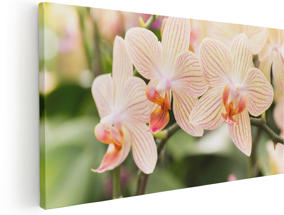 Artaza Canvas Schilderij Gestreepte Witte Orchidee Bloemen - 140x70 cm - Groot - Wanddecoratie Woonkamer - Schilderijen - Muurdecoratie