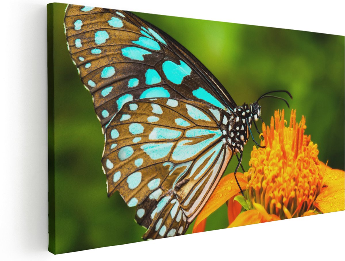 Artaza Canvas Schilderij Blauwe Vlinder Bij Een Oranje Bloem - 140x70 cm - Groot - Wanddecoratie Woonkamer - Schilderijen - Muurdecoratie