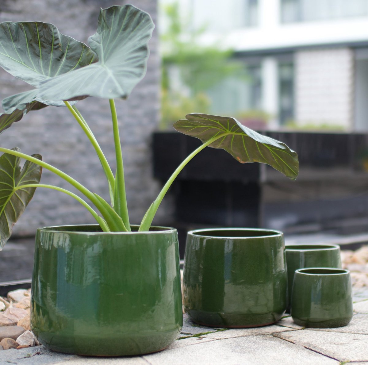HAUSS SPOLE Bloempot – 4 Delige Set Ø 33 26 20 15 cm – Keramiek – Donkergroen – Voor Binnen en Buiten – Met Afwateringsgaten